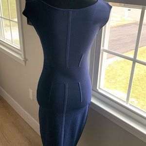 Eve Mendes cvs navy fitted dress